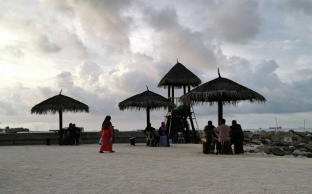 ރަސްފަންނާއި, ސަލްޓަންޕާކްގެ ހާލަތާމެދު ރައީސް ކަންބޮޑުވުން ފާޅުކުރައްވައިފި