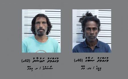 އަންހެން ހެދުން އަޅައިގެން ވައްކަން ކުރަން އުޅުނު ދެމީހަކު ހައްޔަރުކޮށްފި