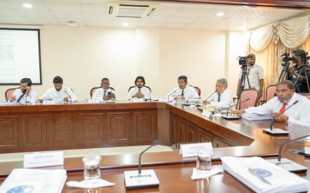 ޤާނޫނު ތަންނުދޭތީ މިނިވަން މުއައްސަސާ ތަކާއި ޝަރުއީ ދާއިރާގެ މުސާރަތައް ކުޑަކުރެވެން ނެތް: ކޮމިޓީ