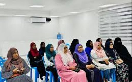 އަރިއަތޮޅުގައި ފަތުރުވެރިކަމުގެ ދާއިރާގައި ޙަރަކާތްތެރިވާ ކުދި އަދި މެދުފަންތީގެ ވިޔަފާރިތަކަށް ޚާއްޞަ ފޯރަމެއް ބާއްވައިފި