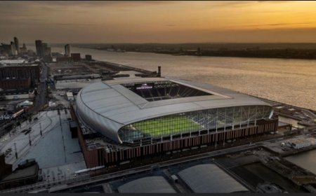 އެވަރޓަންގެ ހިތްގައިމު އާ ސްޓޭޑިއަމް ފޭނުން އާޝޯހުކޮށްލައި