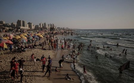 ޣައްޒާ އިން މިސްޓަރ ޓްރަމްޕްއަށް ސިޓީއެއް!