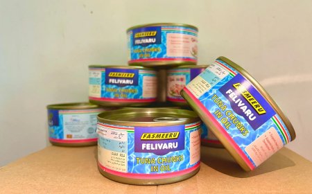 މާލެ ސަރަހައްދުގައި މަސްދަޅު ކޭސް ބަހާ ގަޑިތަކަށް ބަދަލު ގެނެސްފި