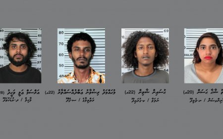 ހަނިމާދޫއަށް މަސްތުވާތަކެތި އެތެރެކުރަން އުޅުނު 4 ޒުވާނަކު ހައްޔަރުކޮށްފި