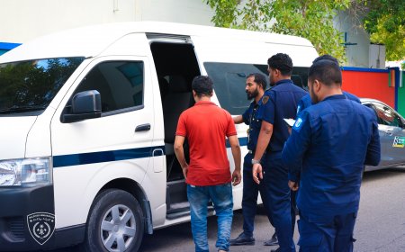 އަނެއްކާވެސް ތިން ބިދޭސީން އިމިގްރޭޝަންގެ ބެލުމުގެ ދަށަށް