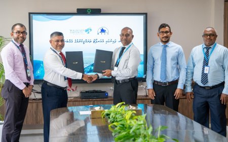 ފައިނު އެއަރޕޯޓު އެޅުމުގެ މަސައްކަތް އެމްޓީސީސީ އާއި ހަވާލުކޮށްފި