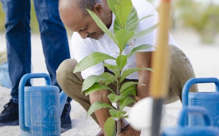ރައީސްގެ ގަސްއިންދުމުގެ ވައުދު ފުރިހަމަކުރުމަށް އެޗްޑީސީން އެއް މިލިއަން ގަސް އިންދަނީ