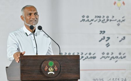 ގުޅިފަޅުން ގޯތިލިބުނު ފަރާތްތަކުގެ ރަޖިސްޓްރީ ދެތިން މަސްތެރޭ ހަވާލުކުރެވޭނެ: ރައީސް މުއިއްޒު