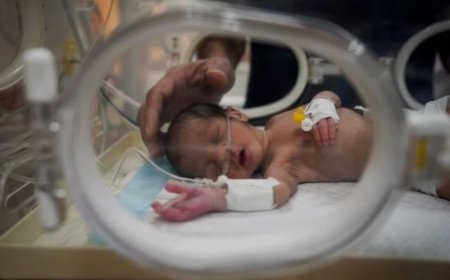 ގަދަ ފިނީފައި ޣައްޒާގެ ހަ ކުދިން ނިޔާވެއްޖެ, މޮބައިލްގެ ގެތަކަށް އިޒްރާއިލްއިން ހުއްދައެއް ނުދިން