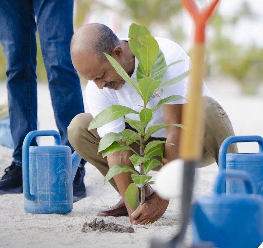 ރައީސްގެ ގަސްއިންދުމުގެ ވައުދު ފުރިހަމަކުރުމަށް އެޗްޑީސީން އެއް މިލިއަން ގަސް އިންދަނީ