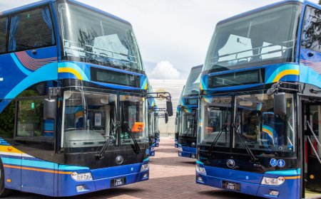 ސަމާލުވޭ! އާރުޓީއެލް ބަސްތަކާއި ގުޅުވައިގެން ސްކޭމެއް