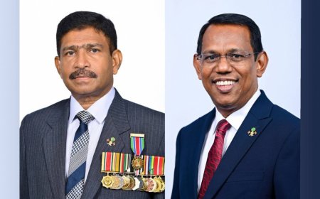 ދެ ގައުމަކަށް ނޮން-ރެޒިޑެންޓް ސަފީރުން އައްޔަންކުރަން ރުހުންދީފި