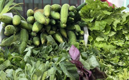 ކާށްޓާއި ލޮނުމެދުގެ އަގު ބޮޑު, އެހެން ބާވަތްތަކުގެ އަގު ހިފެހެއްޓިފަ