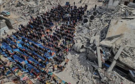 އޯއައިސީ އަދި ވިލާތުގެ ބޮޑެތި ބާރުތަކުން ޢަރަބިލީގުގެ ޣައްޒާ އާރާސްތުކުރުމުގެ ޕްލޭނަށް އެއްބާރުލުންދޭން ތައްޔާރު