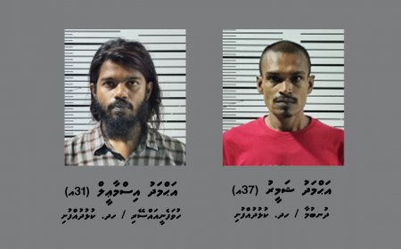 ކުޅުދުއްފުށިން މިލަންދޫއަށް މަސްތުވާތަކެތި އެތެރެކުރަން އުޅުނު ދެމީހަކު ހައްޔަރުކޮށްފި