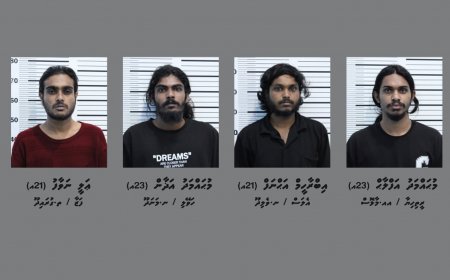 ގެއަކަށް ދަންވަރު ވަދެ, ވެރިފަރާތަށް ބިރުދައްކާ ގެއްލުން ދިން 4 ޒުވާނަކު ހައްޔަރުކޮށްފި
