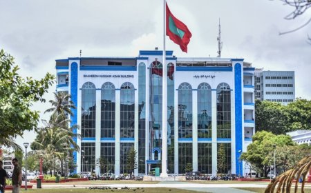 މާލޭގައި ބިދޭސީއަކަށް ތޫނު އެއްޗަކުން ހަމަލާދީފި