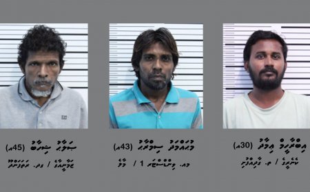 މަސްތުވާތަކެއްޗާއި އަދި ގިނަ އަދަދެއްގެ ފައިސާއާއި އެކު 3 މީހަކު ހައްޔަރުކޮށްފި