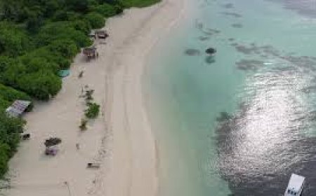 އދ.އަރިޔަދޫ ގައި ރުއް ހައްދާ އާލާކުރަނީ