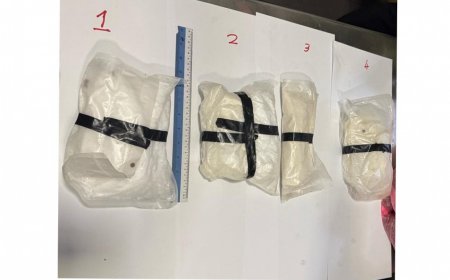 ކަނޑުމަގުން ރާއްޖެއެތެރެކުރަން އުޅުނު 6.7  މިލިއަން ރުފިޔާގެ މަސްތުވާތަކެތި އަތުލައިގެންފި