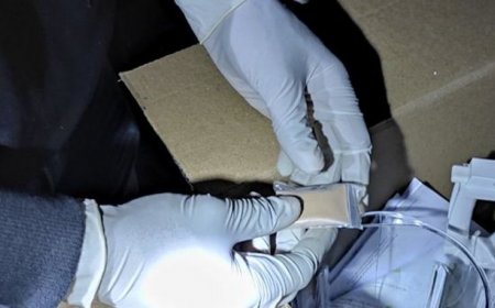 ވައިގެމަގުން ރާއްޖެއަށް އެތެރެކުރަން އުޅުނު ކިލޯއަކަށްވުރެ ގިނަ މަސްތުވާތަކެތި އަތުލައިގެންފި