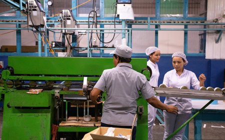 މިފްކޯއިން އަޅާ މަސްބަންދުކުރާ ފެކްޓްރީ ކަނޑުއޮތްގިރިން، ހުޅުމާލެއަށް ބަދަލުކުރަން ނިންމައިފި