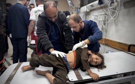 ފަލަސްތީނަށް ދޭންފެށި ހަމަލާތައް ހުއްޓުވައި ދިނުމަށް ރާއްޖެއިން ގޮވާލައިފި