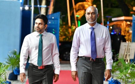 ޝަހީދު ސުޕްރީމް ކޯޓުގެ ފަނޑިޔާރަކަށް އައްޔަންކުރަން މަޖިލީހުން ރުހުން ދީފި