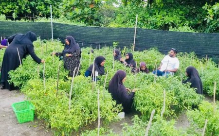 ޗައިނާއިން ދަނޑުވެރިކަމަށް ދިން އެހީ އަތޮޅު ކައުންސިލްތަކާއި ސިޓީ ކައުންސިލްތަކަށް!