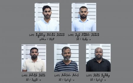 ކުރީގެ އިމިގްރޭޝަން ކޮންޓްރޯލަރ ޝާމިލްވާ ކަމަށް ތުހުމަތު ކުރާ މައްސަލައިގައި ހިމެނޭ މީހުންގެ ވަނަވަރު އާއްމުކޮށްފި