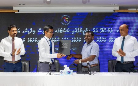 ތުލުސްދޫ ސްޓެލްކޯ ކޮމްޕްލެކްސް އިމާރާތްކުރަން ހަވާލުކޮށްފި