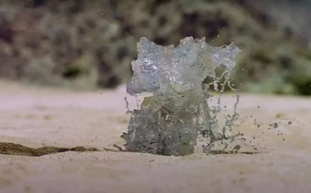 ޒަމްޒަމް ފެން: އިސްލާމީ ތާރިޚްގެ އެންމެ މަތިވެރި އެއް މުޢުޖިޒާތް