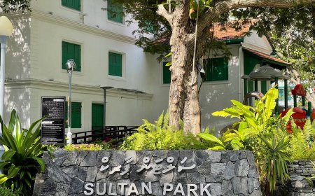 އީދު ހަވީރުގެ ތައްޔާރީތަކަށް ސަލްޓަން ޕާކު ބަންދުކުރަނީ