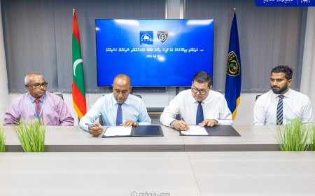 އުލިގަމުގައި އިމިގްރޭޝަން އޮފީހެއް އެޅުމަށް އެމްޓީސީސީއާ ހަވާލުކޮށްފި
