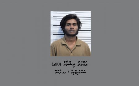 މަންދީ ގަޔަށް ކަޅުތެޔޮ ޖެހި މައްސަލައިގައި ހައްޔަރުކުރީ 20 އަހަރުގެ ޒުވާނެއް