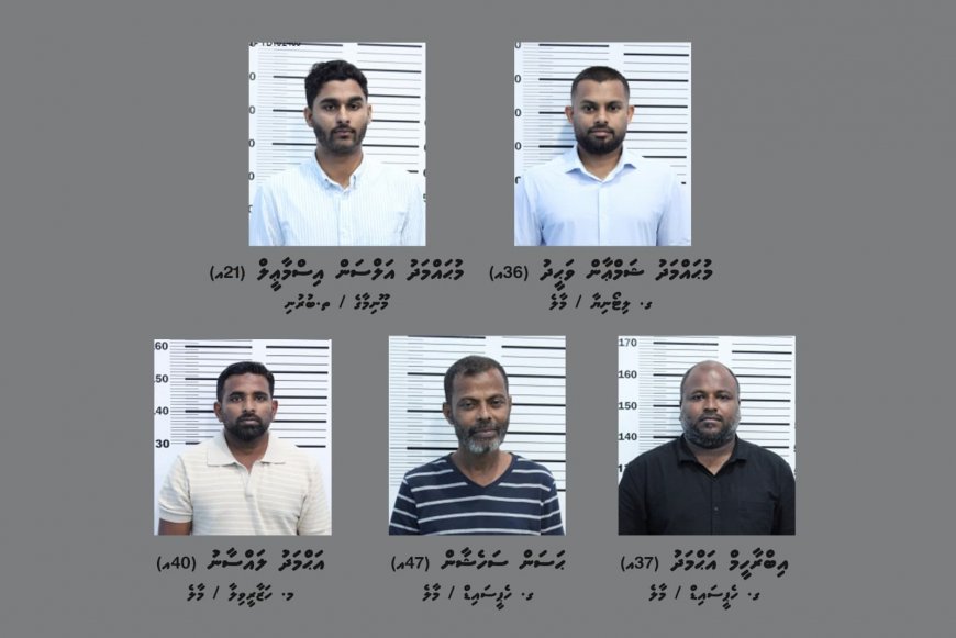 ކުރީގެ އިމިގްރޭޝަން ކޮންޓްރޯލަރ ޝާމިލްވާ ކަމަށް ތުހުމަތު ކުރާ މައްސަލައިގައި ހިމެނޭ މީހުންގެ ވަނަވަރު އާއްމުކޮށްފި