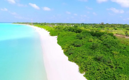 ކެލައާއި ކާށިދޫ ފަޅުގައި ރިސޯރޓެއް ތަރައްޤީ ކުރަން ބީލަމަށް ހުޅުވާލައިފި