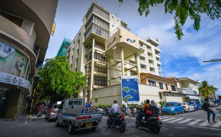 އެމްޑަބްލިޔުއެސްސީ ގެ 30 ވަނަ އަހަރީ ދުވަހުގެ ތަހުނިޔާ ރައީސުލްޖުމްހޫރިއްޔާ ފޮނުއްވައިފި