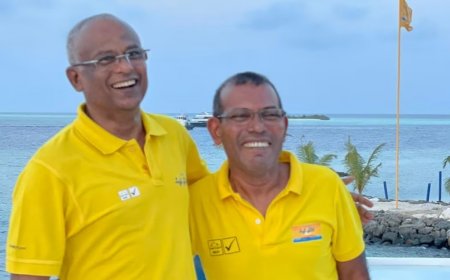 ނަޝީދުއާއެކު ޑިމޮކްރެޓްސް އެނބުރި އެމްޑީޕީއަށް