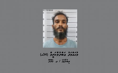 ސިހުރުހަދާކަމުގެ ތުހުމަތުގައި ހޯރަފުށިން މީހަކު ހައްޔަރުކޮށްފި