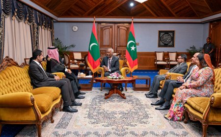 ސަޢޫދީ ސަފީރު ރައީސުލްޖުމްހޫރިއްޔާގެ އަރިހަށް ވަދާއީ ޒިޔާރަތް ކުރައްވައިފި