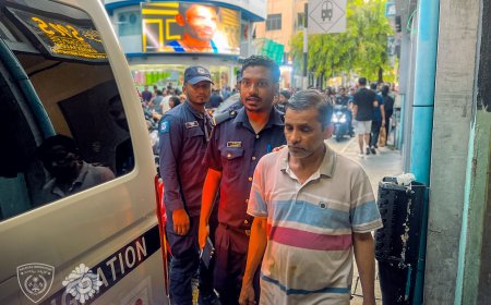 ހުޅުމާލެއިން އިތުރު 8 ބިދޭސީއަކު އިމިގްރޭޝަންގެ ބެލުމުގެ ދަށަށް ގެންގޮސްފި