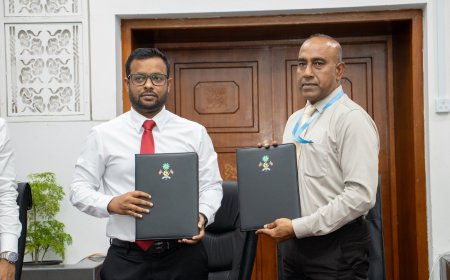 ބޮޑުތަކުރުފާނު މަގުގެ އުތުރުފަރާތުގެ ސަރަހައްދު ހަތަރު ލޭނަށް ހެދުމަށް އެމްޓީސީސީއާ ހަވާލުކޮށްފި