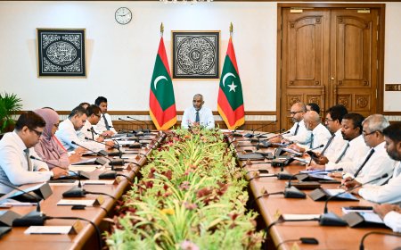 ވަޒީރުންގެ މަޖިލިހުގެ ނިންމުން: 2007 ވަނަ އަހަރުގެ ފަހުން އުފަންވާ މީހުންނަށް ދުންފަތް މަނާކުރުން