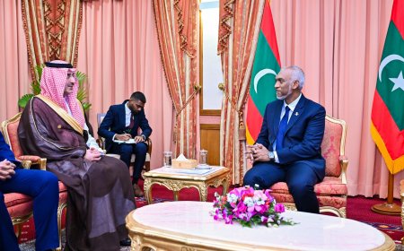 ސަޢޫދީ ޑިވެލޮޕްމަންޓް ފަންޑްގެ ސީއީއޯ ރައީސުލްޖުމްހޫރިއްޔާއާ ބައްދަލުކުރައްވައިފި