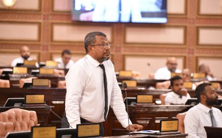 ސޯޝަލް އެންޑް ފެމިލީ ޑިވެލޮޕްމަންޓްގެ އިހުމާލުގެ މައްސަލައަށް ބަހުސްކުރަން ފާހެއް ނުވި