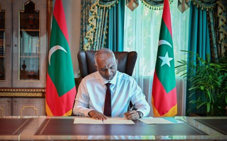 އިޒްރޭލް ޕާސްޕޯރޓްގައި ރާއްޖެ އެތެރެވުން މަނާވާ ބިލް ރައީސް ތަސްދީޤު ކުރައްވައިފި