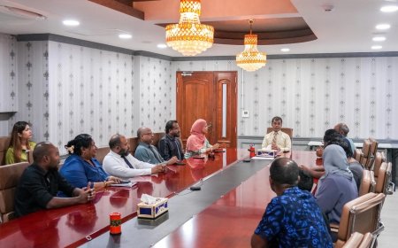ބޯންމެރޯ ހެދުމަށް އަންނަ ހަފްތާގައި ތިން ކުއްޖަކު ފުރަނީ