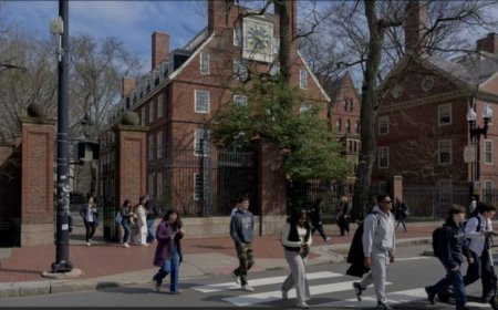 ހާވަޑް ޔުނިވަރސިޓީއަށް ބިދޭސީ ދަރިވަރުން ނުވެއްދޭ ގޮތަށް ހަދާނެކަމަށްބުނެ ޓްރަމްޕްގެ ސަރުކާރުން އިންޒާރުދީފި