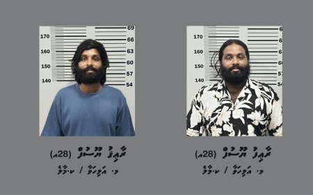 ހުޅުމާލެއިން މަސްތުވާތަކެއްޗާއެކު ދެމީހަކު ހައްޔަރުކޮށްފި